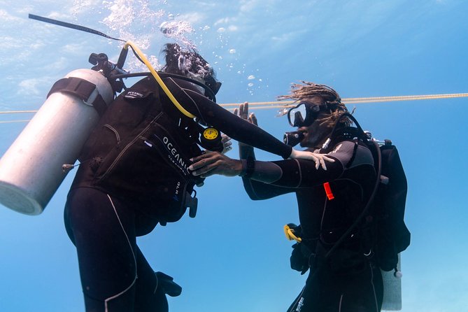 Incredibly Fun Coral Reef Giant Sea Turtles 4hour Boat Scuba Tour - Instructor impact: why names keep showing up