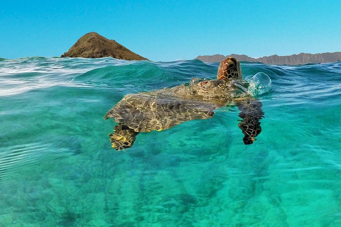 Kailua 2-Hour Guided Kayaking Excursion, Oahu - Kailua Bay kayaking: why this 2-hour outing feels like a mini-vacation