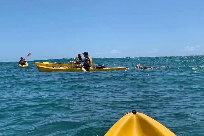 Kailua 2-Hour Guided Kayaking Excursion, Oahu - Getting to the water: kayak hauling and the walking reality