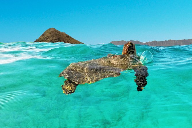 Kailua Bay, Oahu: Epic Kayak and Snorkel to Islands - Guided vs self-guided: which choice matches your comfort level