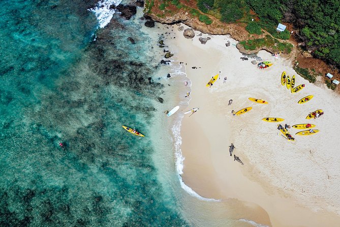 Kailua Twin Islands Guided Kayak Tour, Oahu - From Waikiki morning pickup to carts on the sand