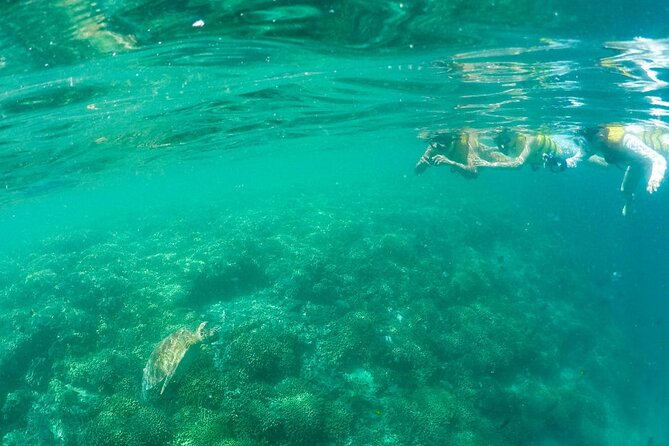 Kaneohe Sandbar Snorkeling Tour - 2nd Tour - What you’re getting aboard: gear, life jackets, snacks, and the cooler reality