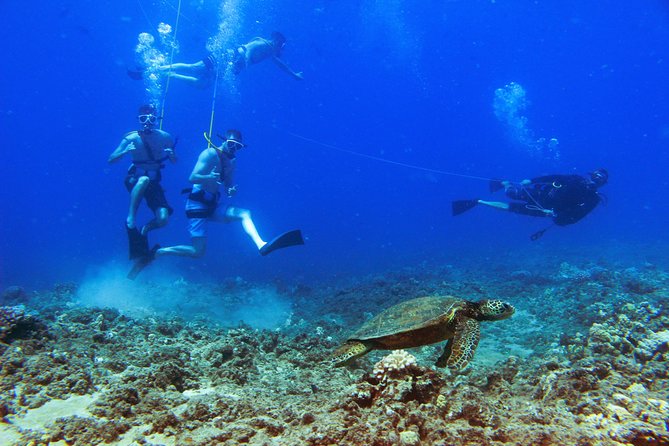 Ko Olina Catamaran Sail and Snorkel with Lunch - The snorkeling stop: spinner dolphins, reef fish, and a crew that watches your back