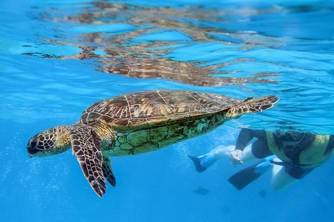 Ko Olina Catamaran Sail and Snorkel with Lunch - Price and value: what $195 buys you on the water