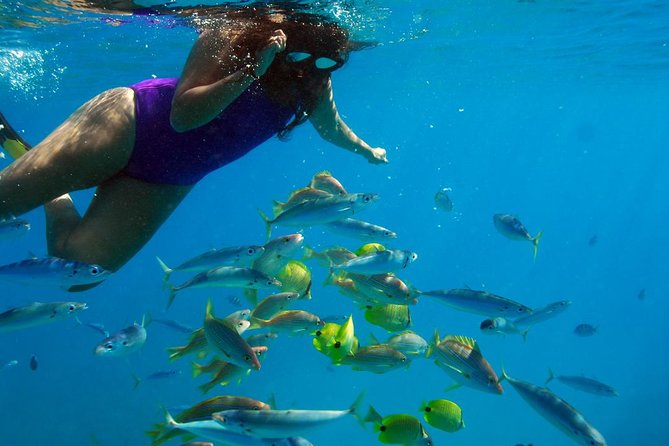 Ko Olina Catamaran Sail and Snorkel with Lunch - Who this catamaran tour suits best (and when to choose something else)