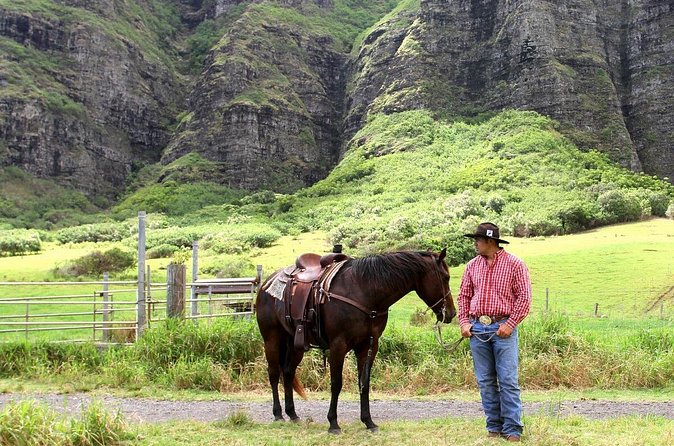 Kualoa Ranch - Horseback Walking Tour - Price and Value at About $173.74: What You’re Really Paying For