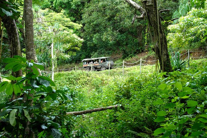 Kualoa Ranch: Jungle Expedition Tour - Entering Kualoa Ranch: The Ride Starts Immediately