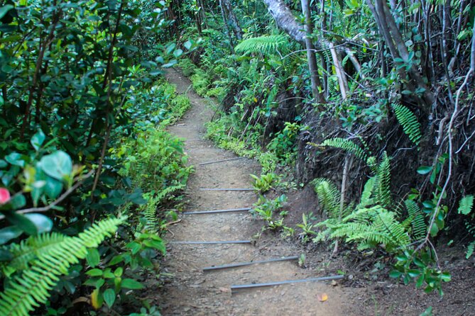 Kualoa Ranch: Jungle Expedition Tour - How Bumpy Is It, Really? Comfort Tips That Actually Help