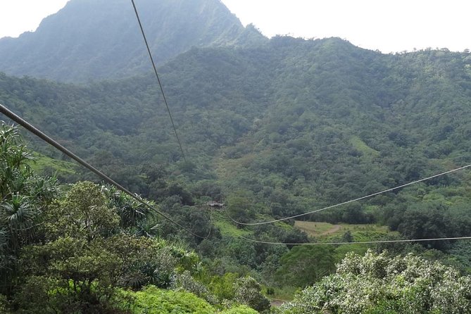 Kualoa Ranch - Zipline Tour - The short hike segments: Hawaiian medicinal plants in small doses