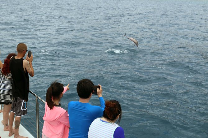 Luxury Snorkel Cruise, Local Buffet with Whale & Dolphin Watch - Hawaiian buffet lunch (with drinks): more than a placeholder meal