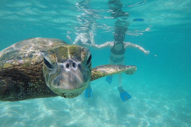 Mahina Hawaii Full Day Adventure - A private, pick-your-day Oahu adventure (not a fixed script)