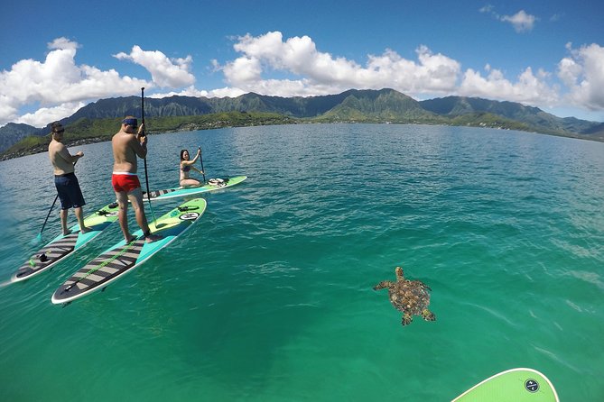 Mahina Hawaii Full Day Adventure - Ocean time, snorkeling gear, and paddling decisions
