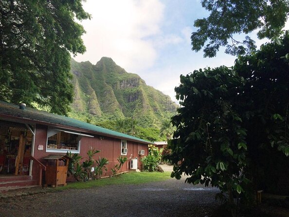 Majestic Circle Island Tour with Lunch - A Tight Circle Island Day From Waikiki (Start Time 8:00 am)