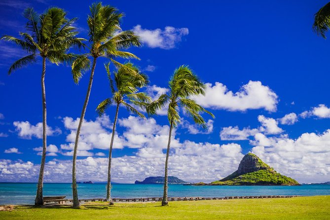 Majestic Circle Island Tour with Lunch - Lunch at Pounders (Mon–Sat) or Tanaka Shrimp (Sunday) + Cultural Center Time