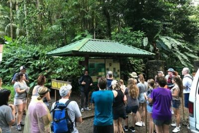 Manoa Falls Rainforest & Self-Guided Hike - Pickup and shuttle logistics: less stress than driving yourself