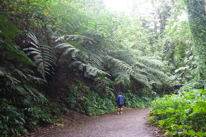 Manoa Falls Rainforest & Self-Guided Hike - Group size and how crowded it feels on the trail