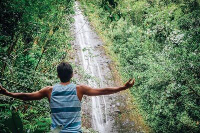 Manoa Waterfall Hike with Waikiki Pickup & Healthy Lunch - On-trail rainforest time: bamboo, ferns, and plant spotting with a guide