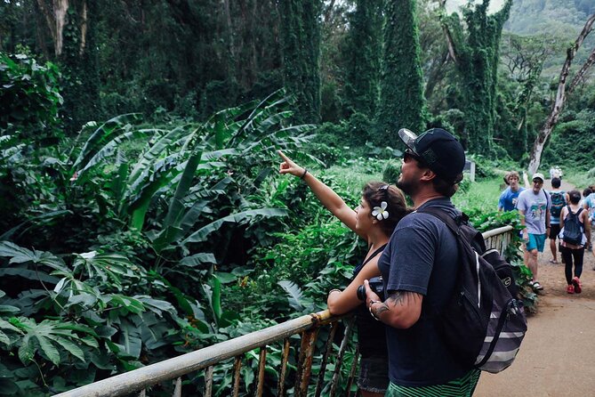 Manoa Waterfall Hike with Waikiki Pickup & Healthy Lunch - How hard is it really? Mud, uneven steps, and balance tips
