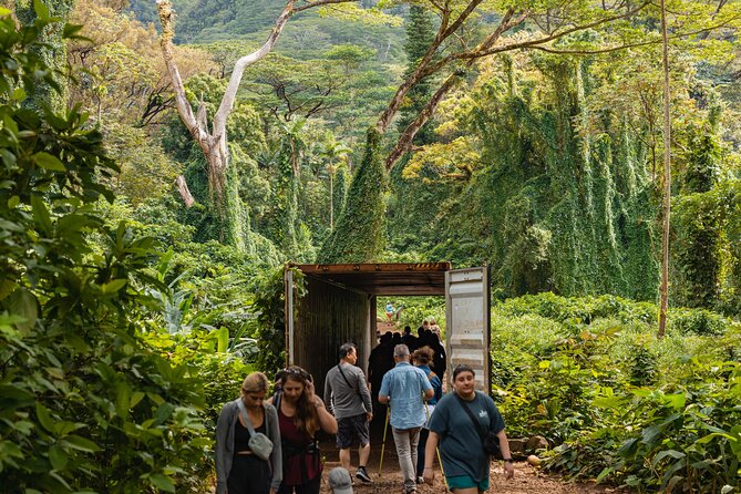 Manoa Waterfall Hike with Waikiki Pickup & Healthy Lunch - Lunch at Andy’s Sandwiches: healthy fuel that doesn’t feel like a compromise