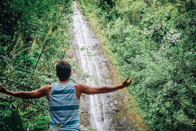 Manoa Waterfall Hike with Waikiki Pickup & Healthy Lunch - On-trail rainforest time: bamboo, ferns, and plant spotting with a guide