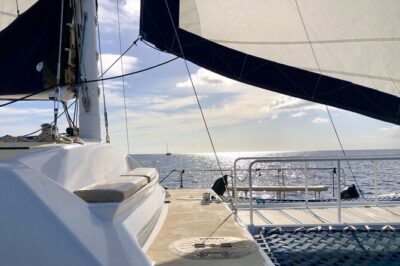 Moana’s Swim’n’Sail Cocktail Cruise Along the Waikiki Coast - Jump-Off Swimming and What the Crew Handles For You