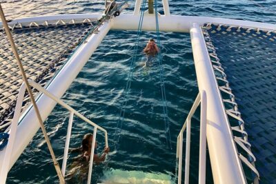 Moana’s Waikīkī Grand Guided Turtle Snorkel & Sailing Adventure - Turtle Canyon snorkeling: gear, safety help, and how the experience feels