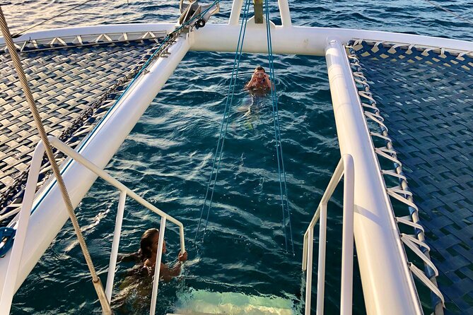 Moana’s Waikīkī Grand Guided Turtle Snorkel & Sailing Adventure - Turtle Canyon snorkeling: gear, safety help, and how the experience feels