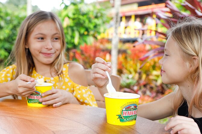 North Shore Haleiwa & Dole Plantation Tour - Why this North Shore combo works better than solo driving