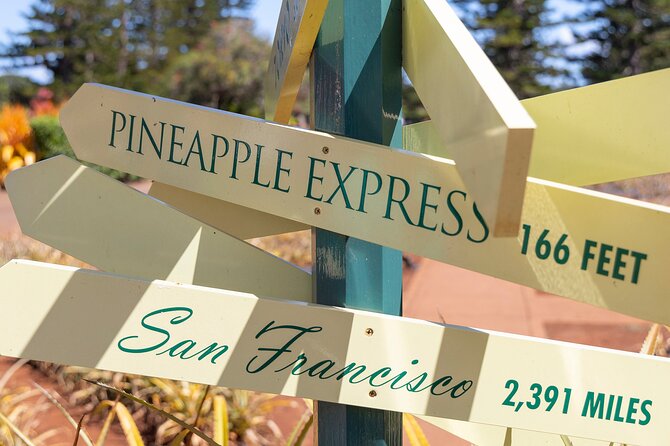 North Shore Haleiwa & Dole Plantation Tour - Pineapple Express and the garden maze: how to choose without stress