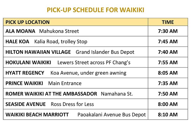 North Shore Haleiwa & Dole Plantation Tour - Deluxe motorcoach and Waikiki pickup: the logistics win