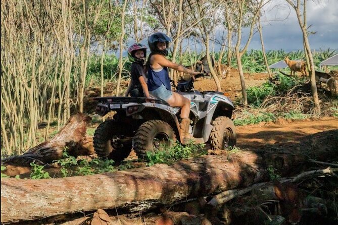 Oahu Beachfront ATV Adventure and Farm Tour - Price and value: is $130.89 a fair deal?