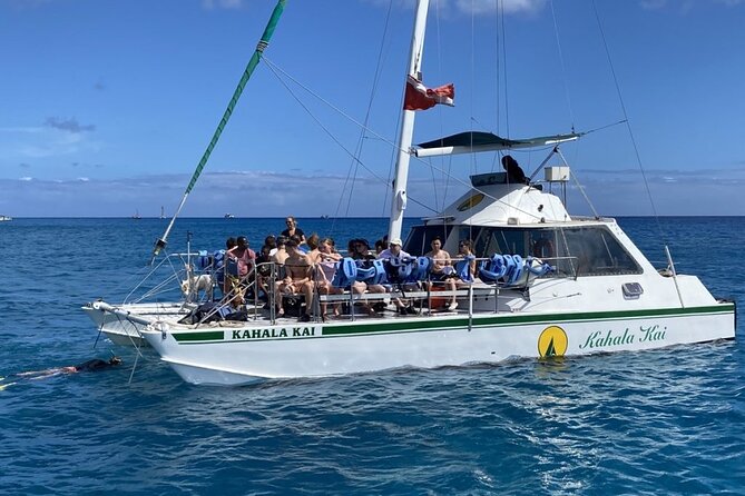 Oahu Catamaran Snorkel Tour: See Turtles 100% Guaranteed - Stop in Waikiki: How the Turtle Canyon Snorkel Usually Plays Out