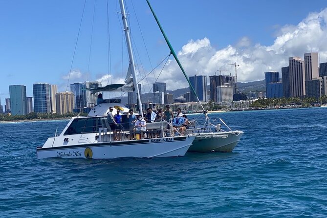 Oahu Catamaran Snorkel Tour: See Turtles 100% Guaranteed - What You’ll See Besides Turtles (If the Ocean Cooperates)