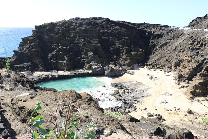 Oahu Circle Island Small Group Tour - Giovanni’s Shrimp Truck and the North Shore: where lunch and winter surf steal the show