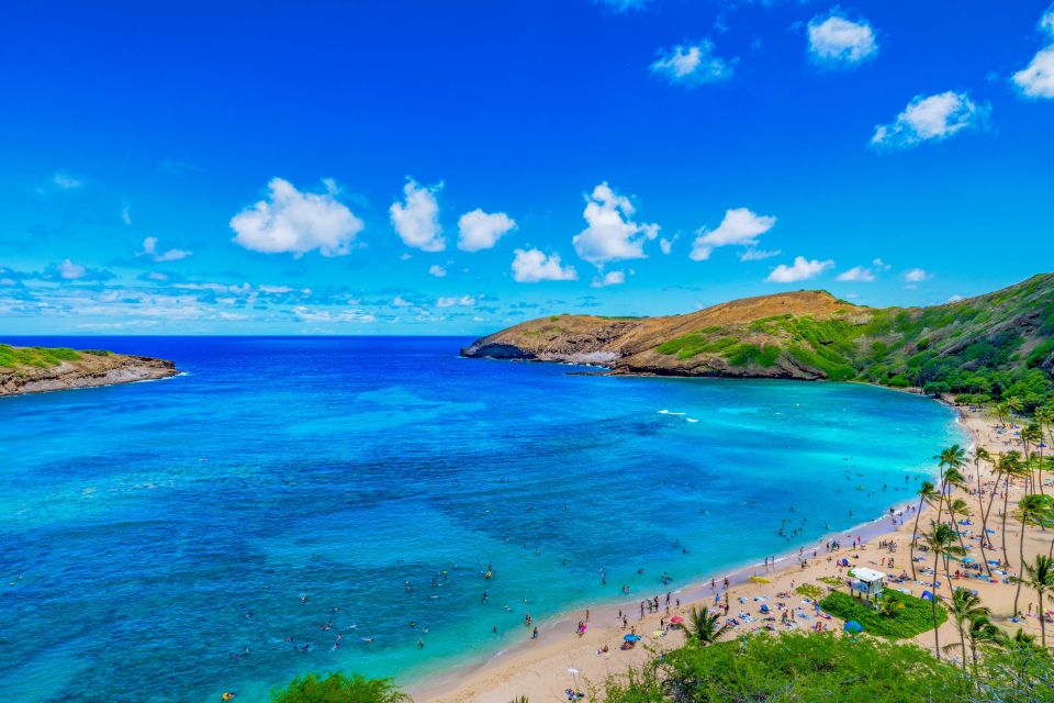 Oahu: Circle Island Top Sights Full-Day Tour w/ Local Guide - From Waikiki to Diamond Head: Starting With Oahu’s Showy Side