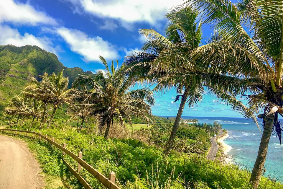 Oahu: Circle Island Top Sights Full-Day Tour w/ Local Guide - Dole Plantation and the Final Pineapple Treat