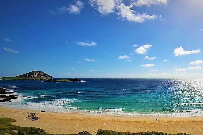 Oahu Circle Island Tour with Turtle Snorkeling— Small-Groups - Turtle Town snorkeling: how long you’re in the water and what to pack