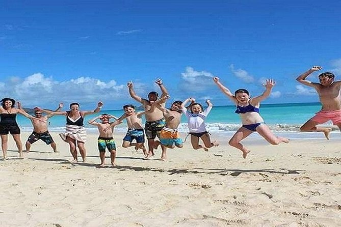 Oahu Circle Island Tour with Turtle Snorkeling— Small-Groups - Tsue Farm shrimp lunch, macadamia cracking, and local food value