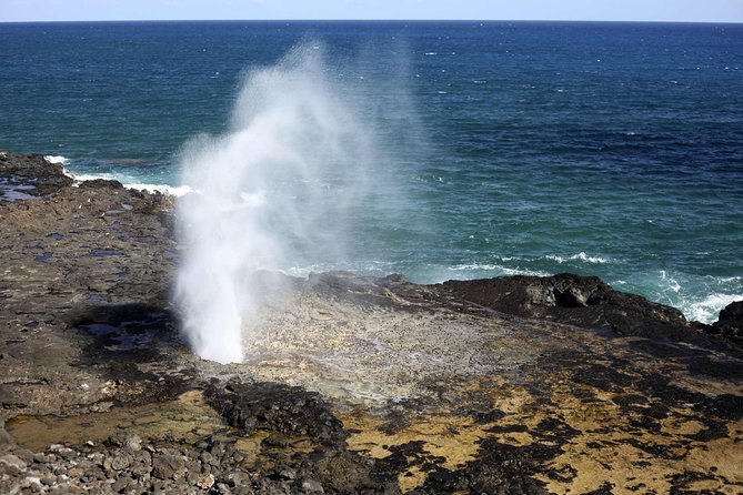 Oahu Circle Island Tour with Waimea Waterfall - Macadamia and Kona Coffee Tastings at Tropical Farms