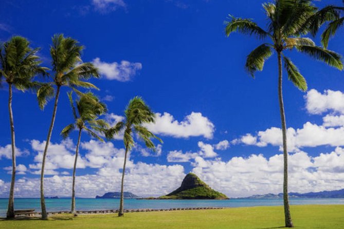 Oahu Circle Island Tour with Waimea Waterfall - Kahuku Farms, Sunset Beach, Banzai Pipeline, and Sharks Cove