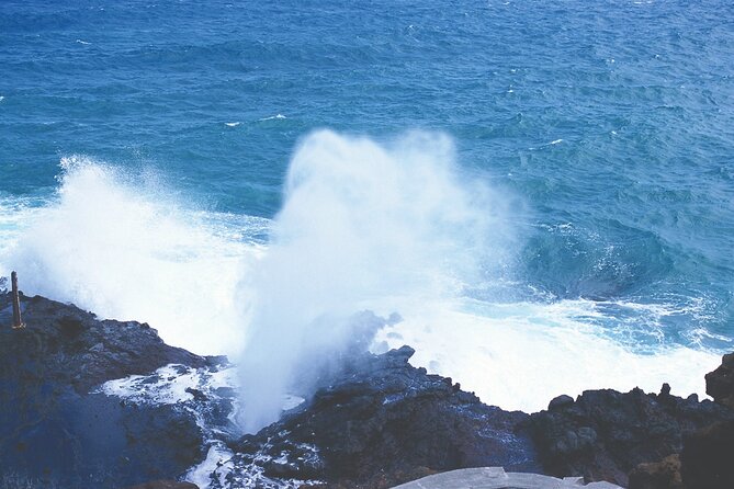 Oahu Deluxe Grand Circle Island Tour - Waimea Valley: garden time and the waterfall-fed pool option