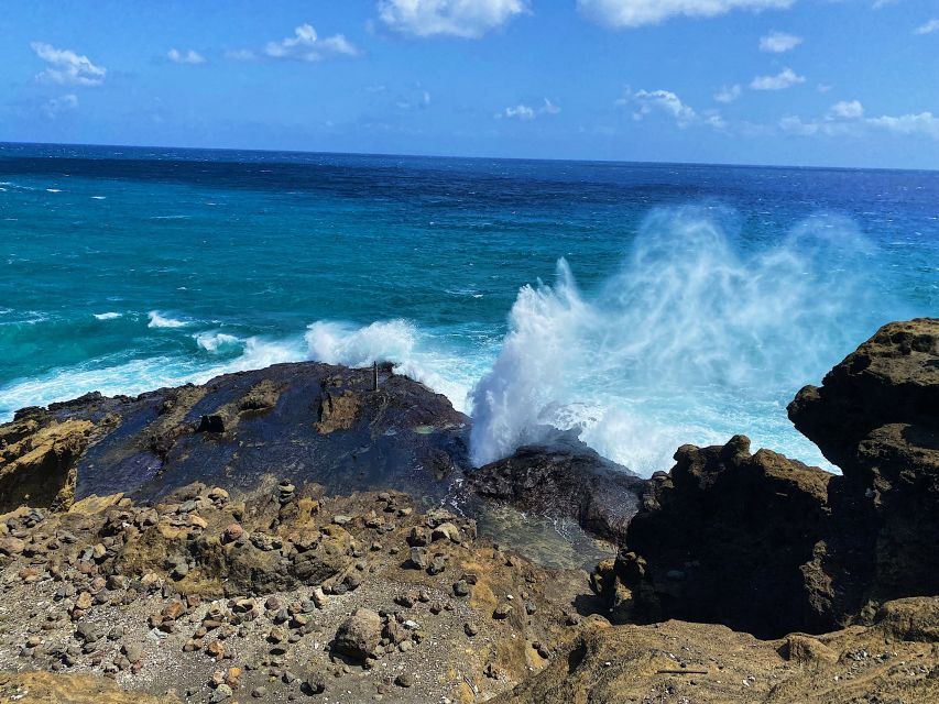Oahu: Diamond Head Crater Hike and North Shore Experience - Tropical Farms Macadamia Nuts: Sampling Reality Check