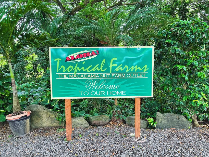Oahu: Diamond Head Crater Hike and North Shore Experience - Kahuku Sugar Mill Food Trucks: Lunch With Options You’ll Actually Want