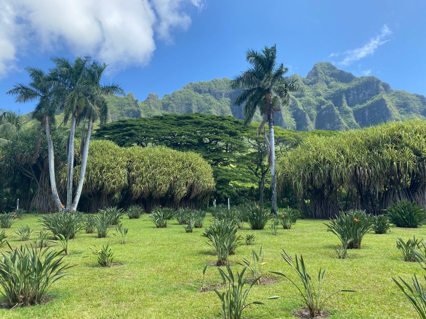Oahu: Diamond Head Crater Hike and North Shore Experience - Should You Book This Diamond Head and North Shore Day?