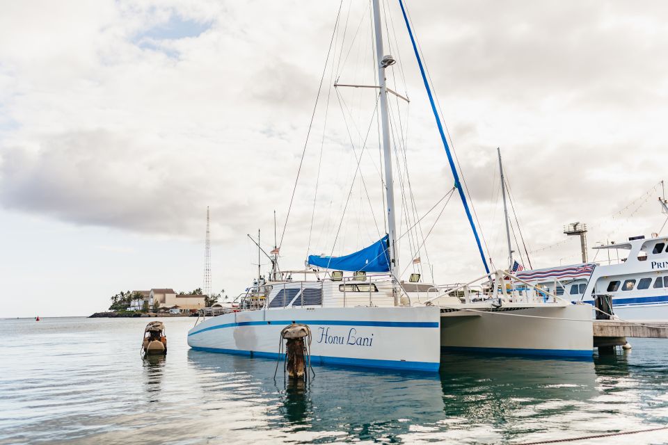 Oahu: Diamond Head Cruise with Drinks & Appetizers - The Bento-Style Dinner: What You’ll Actually Be Eating