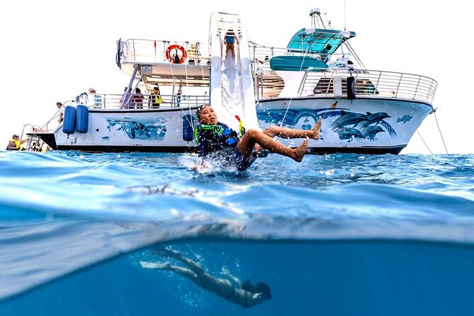 Oahu Dolphin and Snorkel Tour with Waikiki Pickup & Lunch - The morning cruise: dolphin spotting with real safety rules