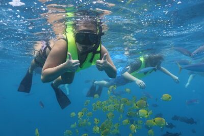 Oahu Dolphin and Snorkel Tour with Waikiki Pickup & Lunch - Getting to the Waianae Small Boat Harbor (and why timing matters)