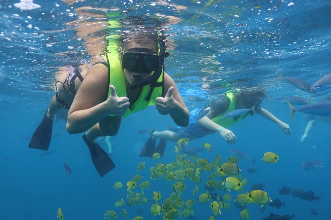 Oahu Dolphin and Snorkel Tour with Waikiki Pickup & Lunch - Getting to the Waianae Small Boat Harbor (and why timing matters)