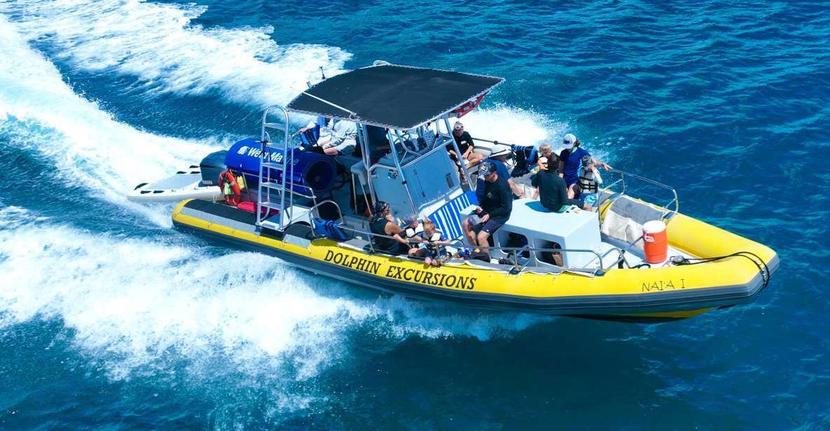 Oahu: Dolphin Swim and Turtle Snorkel Excursion in Waianae - Key Things I’d Watch For On This Waianae Boat Trip