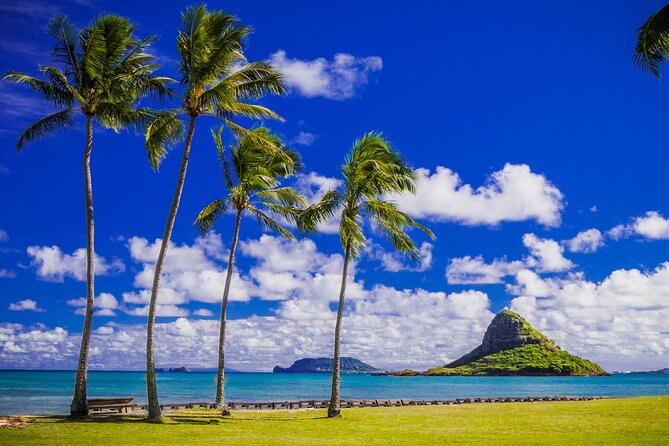 Oahu Grand Circle Island and Haleiwa Tour: 9-Hr Deluxe Experience - Byodo-In Temple: calm gardens, koi ponds, and the bon-sho bell